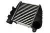 Интеркуллер THERMOTEC DAW001TT (фото 2)