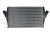 Интеркуллер THERMOTEC DAX002TT (фото 1)