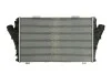Інтеркулер THERMOTEC DAX011TT (фото 2)