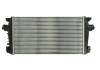 Интеркуллер THERMOTEC DAX013TT (фото 1)