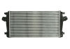 Интеркуллер THERMOTEC DAX013TT (фото 2)