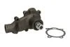Насос охолоджуючої рідини THERMOTEC WPCA109 (фото 2)
