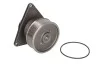 Насос охолоджуючої рідини THERMOTEC WPCM102 (фото 4)