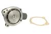 Насос охолоджуючої рідини THERMOTEC WPFO101 (фото 1)