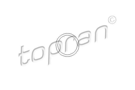 Прокладка термостату TOPRAN / HANS PRIES 202327