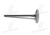 Клапан впускной Land Cruiser 12- RAV4 Camry Lexus (выр-во) TOYOTA 1371131101 (фото 3)