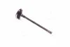 Клапан випускний Toyota Camry 01-06 RAV4 Avensis Lexus (вир-во Toyota) TOYOTA 1371528010 (фото 3)