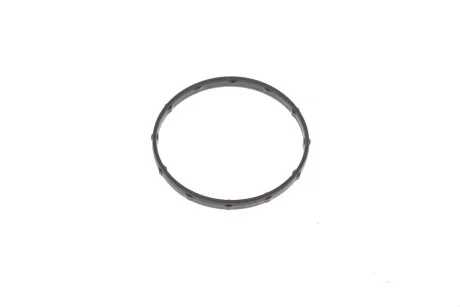 Прокладка термостата Toyota Rav 4 V 2.0 VVTi 18- TOYOTA 1632647020