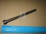 Болт ГБЦ Toyota RAV4 05-12 Avensis Camry (вир-во Toyota) TOYOTA 9091002184 (фото 1)