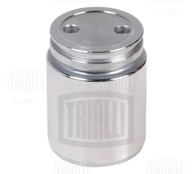 Поршень зад. суппорта для а/м Ford/Mazda/Opel/Renault/SAAB/VOLVO d=38mm TRIALLI Trialli RCF 102064 (фото 1)