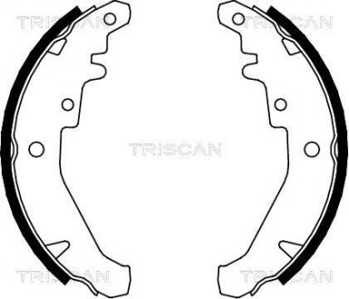 Комплект гальмівних колодок TRISCAN 810015026