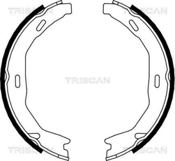 Комплект гальмівних колодок, Стоянкове гальмо TRISCAN 810023029 (фото 1)