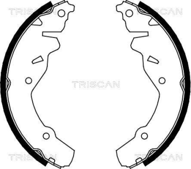 Комплект гальмівних колодок TRISCAN 810080002 (фото 1)