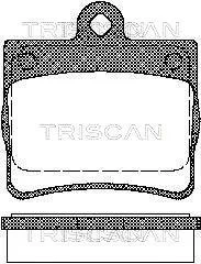 Колодки гальмівні задні TRISCAN 811023016