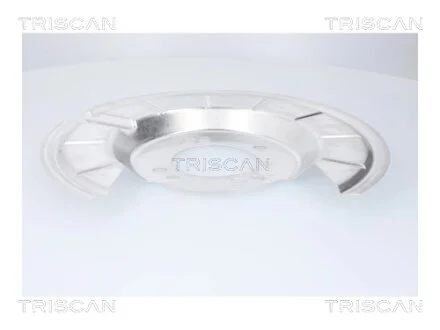 FORD Захист гальм. диска задн. лівий FOCUS IV 18-, KUGA III 19- TRISCAN 8125 16221