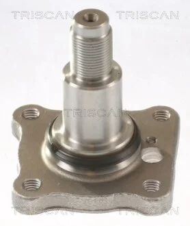 FORD Маточина колеса задня FIESTA V 01-, FOCUS I 99-, FUSION 02- TRISCAN 8535 16007