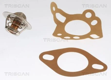 Термостат TRISCAN 862011088