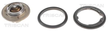 Термостат TRISCAN 8620 11582