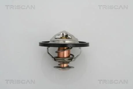 Термостат TRISCAN 8620 13591