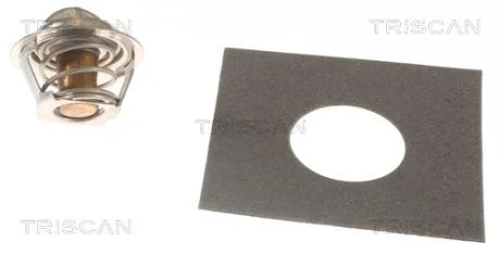 Термостат TRISCAN 8620 1382