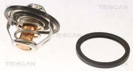 Термостат TRISCAN 8620 13882