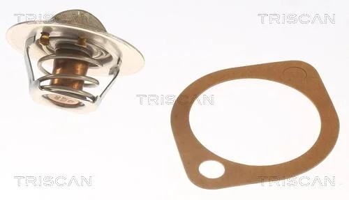 Термостат TRISCAN 8620 5791 (фото 1)