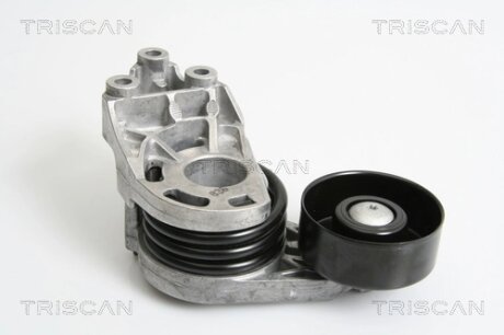 VW натягувач ременя Skoda Fabia, Polo, Ibiza 1.4 TDI TRISCAN 8641 293027