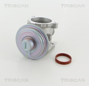 Клапан рецеркуляции отработавших газов TRISCAN 8813 11003