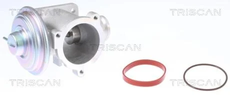Клапан рецеркуляції відпрацьованих газів TRISCAN 8813 11003