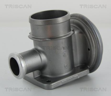 Клапан рецеркуляции отработавших газов TRISCAN 8813 11004 (фото 1)