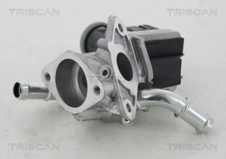Клапан рецеркуляции отработавших газов TRISCAN 8813 16036