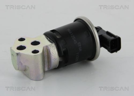 Клапан рецеркуляции отработавших газов TRISCAN 8813 21008