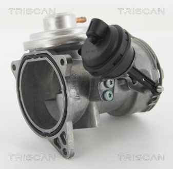 Клапан рецеркуляции отработавших газов TRISCAN 8813 29070