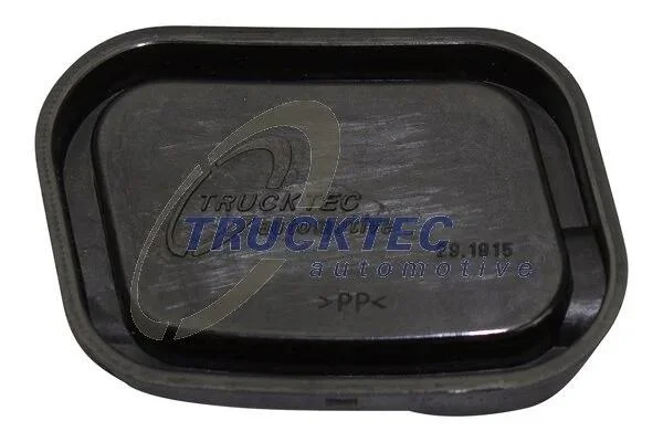 Пробка сливная маслянного поддона TRUCKTEC 02.10.101 (фото 1)