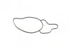 Помпа воды MB C-class (W203/S203/W204/S204) 2.2CDI 01-09/E-class (W211C211) 2.2/2.7CDI 02-09 TRUCKTEC 02.19.189 (фото 3)
