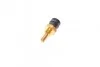 Датчик температуры охлаждающей жидкости MB Sprinter OM602 (M14x1,5) (черный) TRUCKTEC 02.42.029 (фото 4)