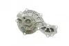 Помпа воды Audi A4/A6/VW Passat 1.6/1.8/1.8T/quattro 94-05 TRUCKTEC 07.19.082 (фото 8)
