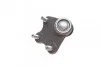 Опора шаровая (передняя/снизу/L) Audi A1 10-/Seat Ibiza 02-15/Skoda Fabia 99-14/Rapid 12-/VW Polo 01 TRUCKTEC 07.31.230 (фото 5)