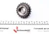 Комплект цепи ГРМ BMW 3 (F34)/X1 (F48)/X4 (F98) 1.5D/1.6D/2.0D 12- TRUCKTEC 08.12.074 (фото 9)