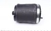 Подушка пневмоподвески (сзади) BMW X5 00-06 (R) TRUCKTEC 08.30.047 (фото 2)
