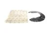 Защита диска тормозного (переднего) (R) BMW X3 (F25)/X4 (F26) 11-18 B47/N20/N47/N55/N57 TRUCKTEC 08.35.280 (фото 1)