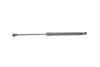 Амортизатор капота BMW 1 (E81/E87) 06-13 N43/N54/N46/N47/N52 TRUCKTEC 08.63.020 (фото 6)