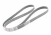 Ремень поликлиновый VW Jetta (06-), Passat (11-15)/Audi A1 (11-14)/Skoda Fabia/Seat Ibiza 1.4 (11-15) VAG 03C260849A (фото 1)