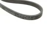 Ремень генератора VW Jetta 2.0 11-18 (+AC) (6DK1285) VAG 06G260849 (фото 3)