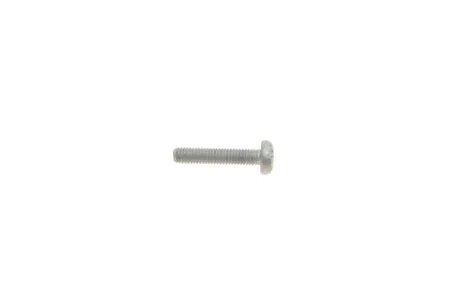 Болт натяжителя цепи ГРМ Audi A5/A6/A7/Q5/Q7/VW Touareg 18- VAG N10156206