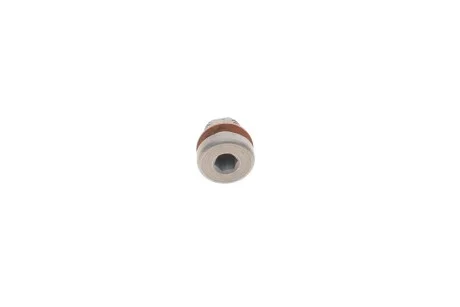 Пробка прокачки системы охлаждения Audi A4 01-09 (M10x1x10) VAG N90534203