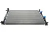 Радіатор охолодження Renault Megane II/ Scenic II 02-09 Van Wezel 43002307 (фото 1)