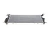 Радиатор охлаждения Renault Megane III/Scenic III 1.6/2.0 08- Van Wezel 43002445 (фото 1)