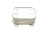 Радиатор масляный VW Caddy III/Crafter/T5 (теплообменник) Van Wezel 58013700 (фото 5)