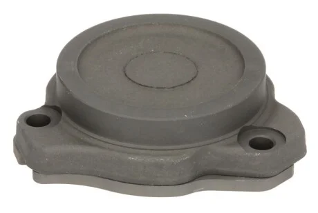 Элемент насоса Common Rail VDO A2C5336708980